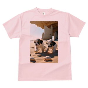 WbNbZeA TVc  j[NfUCfB[X t@  t vg lJWA 킢 lԗp Mtg I ҏ΍ l WbNbZeA L