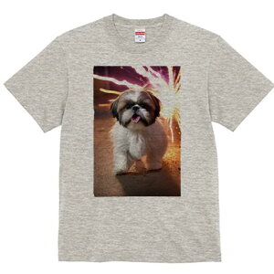 V[Y[ TVc  j[NfUCfB[X t@  t vg lJWA 킢 lԗp Mtg I ҏ΍ ԉ V[Y[