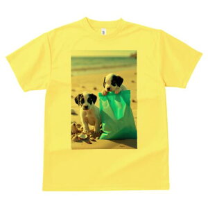 ~bNX TVc  j[NfUCfB[X t@  t vg lJWA 킢 lԗp Mtg I ҏ΍ r[` ~bNX C  Lk