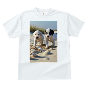 uh[go[,_VA TVc  j[NfUCfB[X t@  t vg lJWA 킢 lԗp Mtg I ҏ΍ l uh[