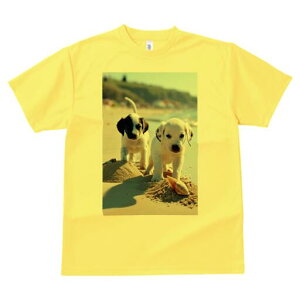 _VA TVc  j[NfUCfB[X t@  t vg lJWA 킢 lԗp Mtg I ҏ΍ r[` _VA C  Lk