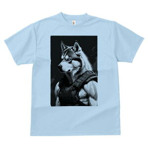 VxAnXL[ TVc  j[NfUCfB[X t@  t vg lJWA 킢 lԗp Mtg I ҏ΍ xXg VxAnXL[ 퓬