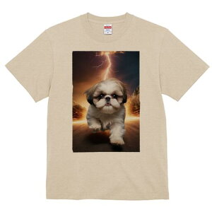 V[Y[ TVc  j[NfUCfB[X t@  t vg lJWA 킢 lԗp Mtg I ҏ΍  V[Y[  H