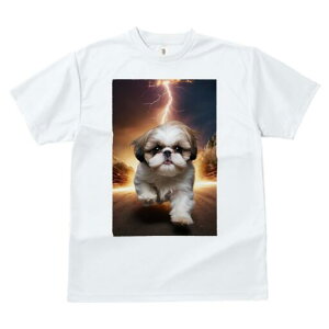 V[Y[ TVc  j[NfUCfB[X t@  t vg lJWA 킢 lԗp Mtg I ҏ΍  V[Y[  H