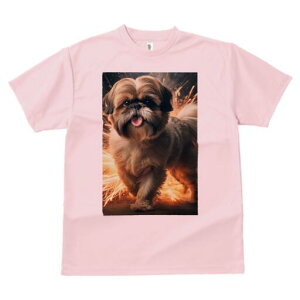 V[Y[ TVc  j[NfUCfB[X t@  t vg lJWA 킢 lԗp Mtg I ҏ΍ V[Y[