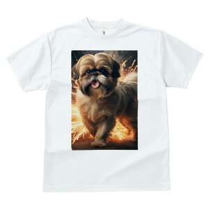 V[Y[ TVc  j[NfUCfB[X t@  t vg lJWA 킢 lԗp Mtg I ҏ΍ V[Y[