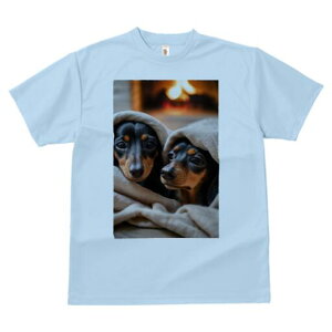 ~j`A_bNXth TVc  j[NfUCfB[X t@  t vg lJWA 킢 lԗp Mtg I ҏ΍ gF ~j`A_bNXth