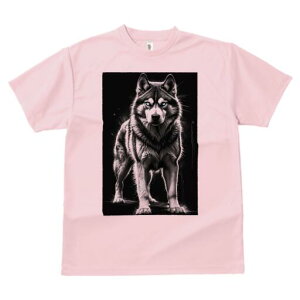 nXL[ TVc  j[NfUCfB[X t@  t vg lJWA 킢 lԗp Mtg I ҏ΍ nXL[