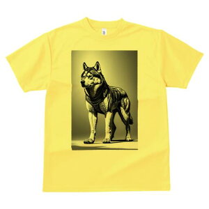 nXL[ TVc  j[NfUCfB[X t@  t vg lJWA 킢 lԗp Mtg I ҏ΍ nXL[