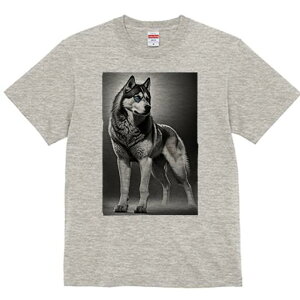 VxAnXL[ TVc  j[NfUCfB[X t@  t vg lJWA 킢 lԗp Mtg I ҏ΍ VxAnXL[