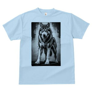 nXL[ TVc  j[NfUCfB[X t@  t vg lJWA 킢 lԗp Mtg I ҏ΍ nXL[