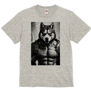 VxAnXL[ TVc  j[NfUCfB[X t@  t vg lJWA 킢 lԗp Mtg I ҏ΍ ؓ VxAnXL[ Z