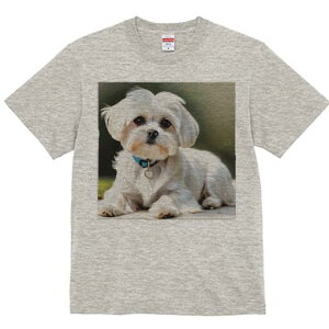 }`[Y TVc  j[NfUCfB[X t@  t vg lJWA 킢 lԗp Mtg I ҏ΍ }`[Y