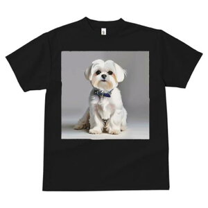 }`[Y TVc  j[NfUCfB[X t@  t vg lJWA 킢 lԗp Mtg I ҏ΍ }`[Y