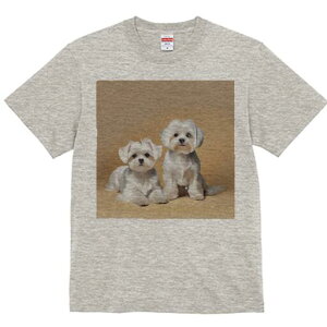 }`[Y TVc  j[NfUCfB[X t@  t vg lJWA 킢 lԗp Mtg I ҏ΍ }`[Y