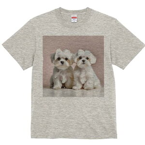 }`[Y TVc  j[NfUCfB[X t@  t vg lJWA 킢 lԗp Mtg I ҏ΍ }`[Y