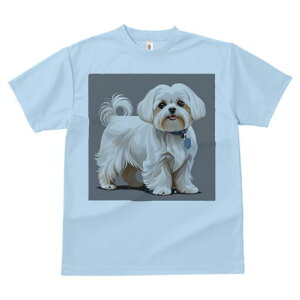 }`[Y TVc  j[NfUCfB[X t@  t vg lJWA 킢 lԗp Mtg I ҏ΍ ybg }`[Y 킢  q