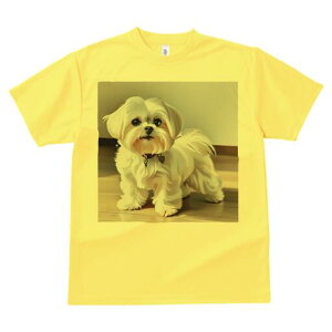 }`[Y TVc  j[NfUCfB[X t@  t vg lJWA 킢 lԗp Mtg I ҏ΍ }`[Y