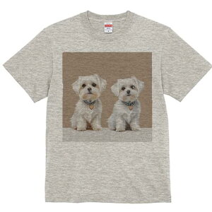 }`[Y TVc  j[NfUCfB[X t@  t vg lJWA 킢 lԗp Mtg I ҏ΍ }`[Y