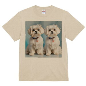 }`[Y TVc  j[NfUCfB[X t@  t vg lJWA 킢 lԗp Mtg I ҏ΍  }`[Y ybg 킢 炵