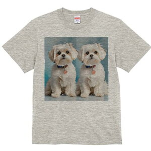 }`[Y TVc  j[NfUCfB[X t@  t vg lJWA 킢 lԗp Mtg I ҏ΍  }`[Y ybg 킢 炵