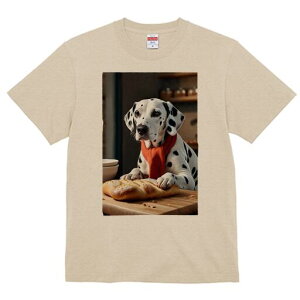 _VA TVc  j[NfUCfB[X t@  t vg lJWA 킢 lԗp Mtg I ҏ΍ p _VA XJ[t