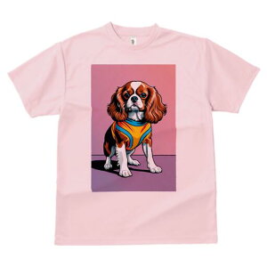 LoA TVc  j[NfUCfB[X t@  t vg lJWA 킢 lԗp Mtg I ҏ΍ TVc LoA 