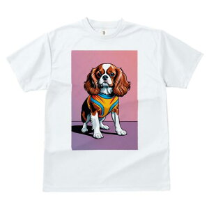 LoA TVc  j[NfUCfB[X t@  t vg lJWA 킢 lԗp Mtg I ҏ΍ TVc LoA 