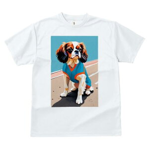 LoA TVc  j[NfUCfB[X t@  t vg lJWA 킢 lԗp Mtg I ҏ΍ TVc LoA 