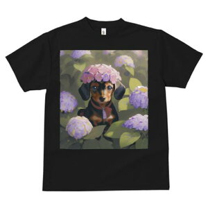 _bNXtg TVc  j[NfUCY LbY t@  t vg lJWA 킢 lԗp Mtg I ҏ΍  _bNXtg AWTC ԏ