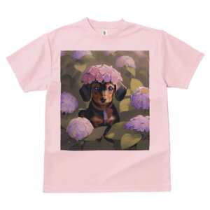 _bNXtg TVc  j[NfUCfB[X t@  t vg lJWA 킢 lԗp Mtg I ҏ΍  _bNXtg AWTC ԏ