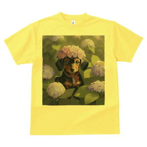 _bNXtg TVc  j[NfUCY LbY t@  t vg lJWA 킢 lԗp Mtg I ҏ΍  _bNXtg AWTC ԏ