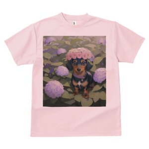 _bNXth TVc  j[NfUCfB[X t@  t vg lJWA 킢 lԗp Mtg I ҏ΍  _bNXth z Ԋ