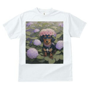 _bNXth TVc  j[NfUCfB[X t@  t vg lJWA 킢 lԗp Mtg I ҏ΍  _bNXth z Ԋ