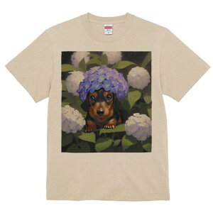 _bNXth TVc  j[NfUCY LbY t@  t vg lJWA 킢 lԗp Mtg I ҏ΍  _bNXth z AWTC