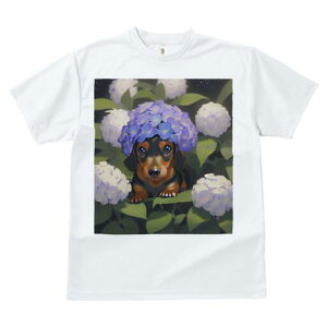 _bNXth TVc  j[NfUCfB[X t@  t vg lJWA 킢 lԗp Mtg I ҏ΍  _bNXth z AWTC