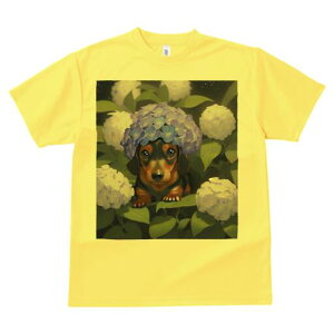 _bNXth TVc  j[NfUCY LbY t@  t vg lJWA 킢 lԗp Mtg I ҏ΍  _bNXth z AWTC