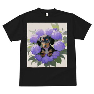 _bNXth TVc  j[NfUCfB[X t@  t vg lJWA 킢 lԗp Mtg I ҏ΍ AWTC _bNXth 