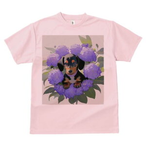 _bNXth TVc  j[NfUCY LbY t@  t vg lJWA 킢 lԗp Mtg I ҏ΍ AWTC _bNXth 