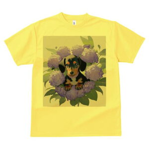 _bNXth TVc  j[NfUCY LbY t@  t vg lJWA 킢 lԗp Mtg I ҏ΍ AWTC _bNXth 