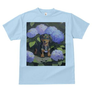 _bNXth TVc  j[NfUCY LbY t@  t vg lJWA 킢 lԗp Mtg I ҏ΍ AWTC _bNXth  A 