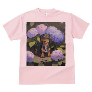 _bNXth TVc  j[NfUCY LbY t@  t vg lJWA 킢 lԗp Mtg I ҏ΍ AWTC _bNXth  A 