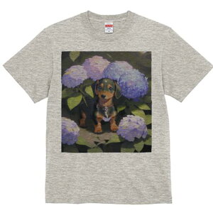 _bNXth TVc  j[NfUCY LbY t@  t vg lJWA 킢 lԗp Mtg I ҏ΍ AWTC _bNXth  A 