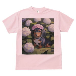 _bNXth TVc  j[NfUCfB[X t@  t vg lJWA 킢 lԗp Mtg I ҏ΍  _bNXth AWTC Ԋ 킢