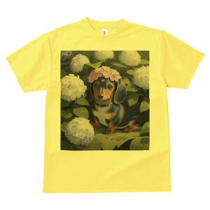 _bNXth TVc  j[NfUCY LbY t@  t vg lJWA 킢 lԗp Mtg I ҏ΍  _bNXth AWTC Ԋ