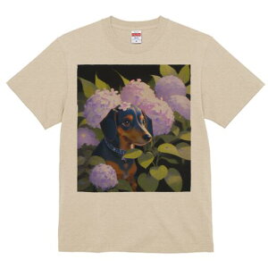 _bNXth TVc  j[NfUCfB[X t@  t vg lJWA 킢 lԗp Mtg I ҏ΍ AWTC _bNXth  A