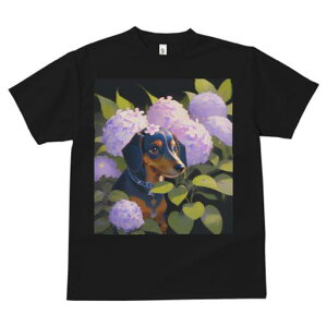 _bNXth TVc  j[NfUCfB[X t@  t vg lJWA 킢 lԗp Mtg I ҏ΍ AWTC _bNXth  A