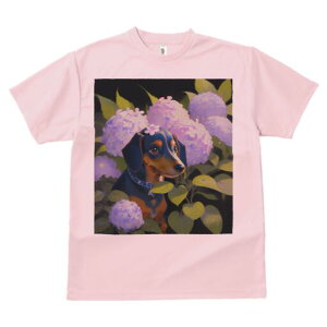 _bNXth TVc  j[NfUCY LbY t@  t vg lJWA 킢 lԗp Mtg I ҏ΍ AWTC _bNXth  A