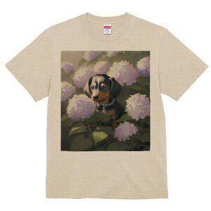 _bNXth TVc  j[NfUCfB[X t@  t vg lJWA 킢 lԗp Mtg I ҏ΍ AWTC _bNXth  A 