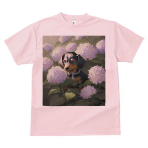 _bNXth TVc  j[NfUCfB[X t@  t vg lJWA 킢 lԗp Mtg I ҏ΍ AWTC _bNXth  A 